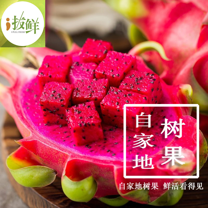 越南红心火龙果原产地直供支持一件代发