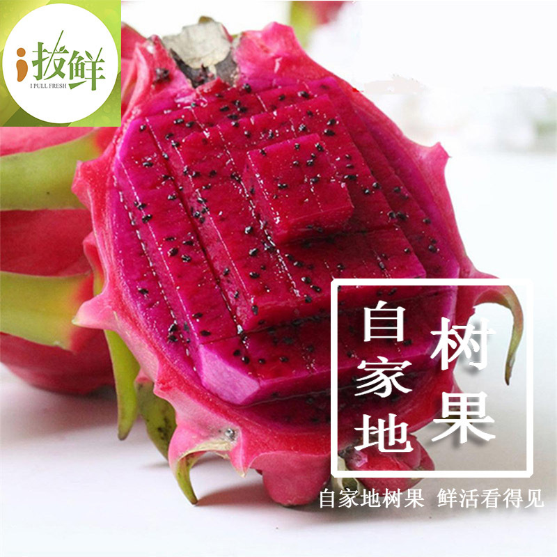 越南红心火龙果原产地直供支持一件代发