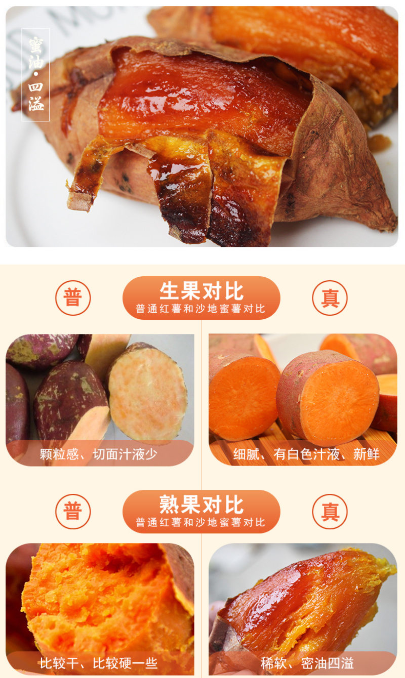 红薯（烟薯25号）原产地直供支持一件代发