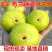 布兰瑞克无花果树苗包成活现挖现卖当年结果南北方种植