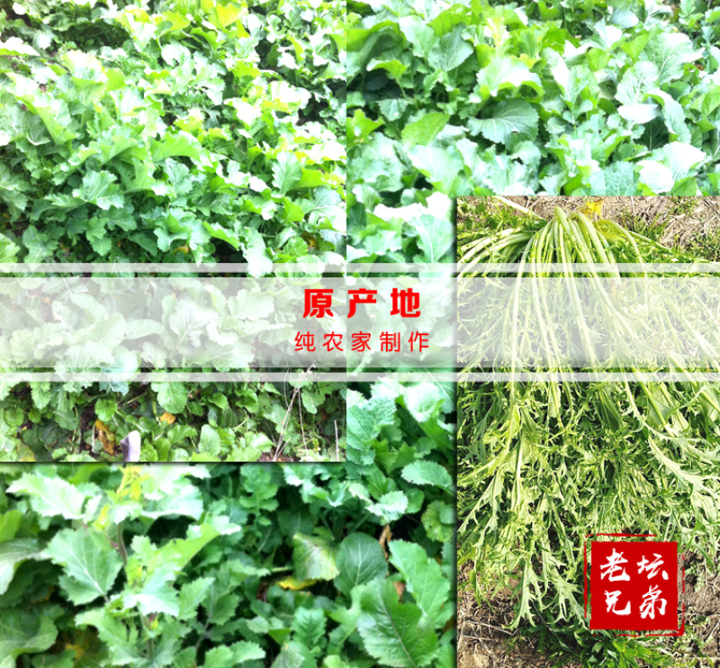 黑梅干菜梅菜干湖南华容特产湘菜酒店食材