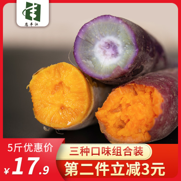 恩平番薯一点红番薯，蜜薯，西瓜红薯