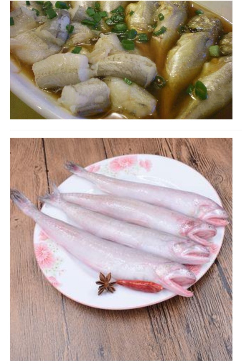 船冻龙头鱼批发九肚鱼批发