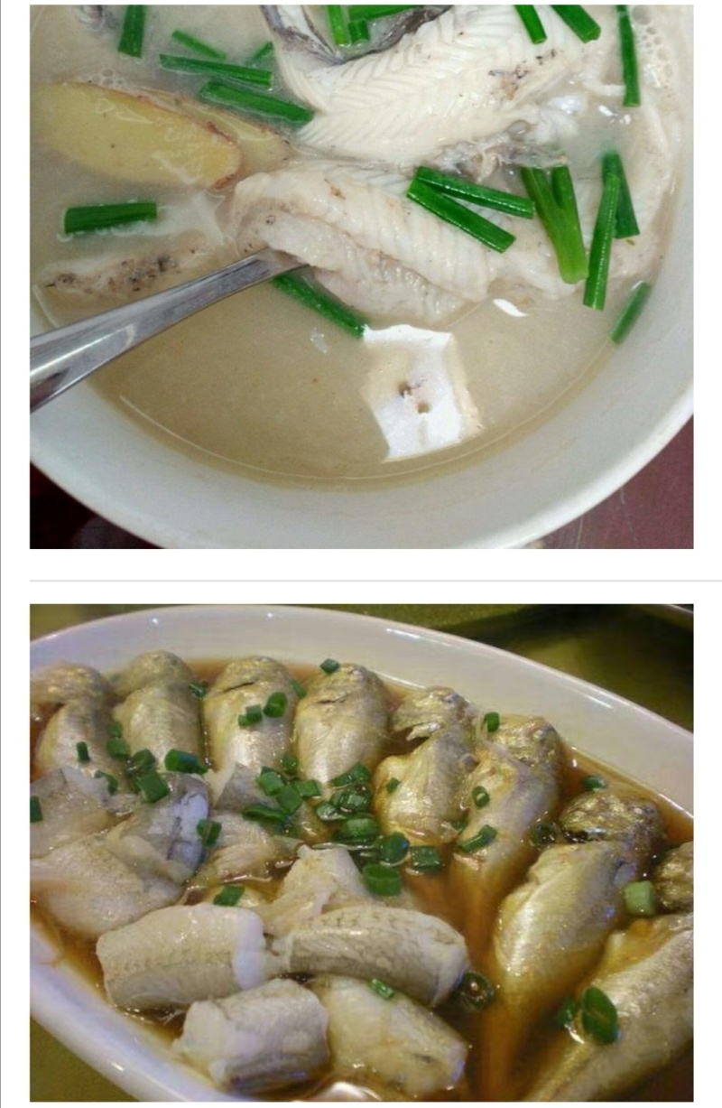 船冻龙头鱼批发九肚鱼批发