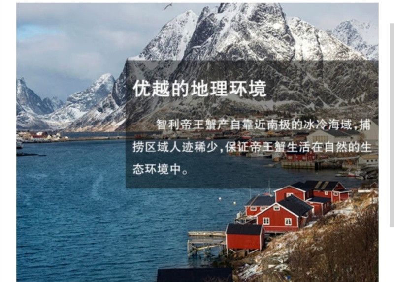 帝王蟹进口熟冻帝王蟹批发