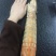 皮皮虾带膏富贵虾批发赖尿虾”、