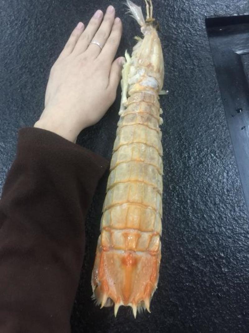 皮皮虾带膏富贵虾批发赖尿虾”、