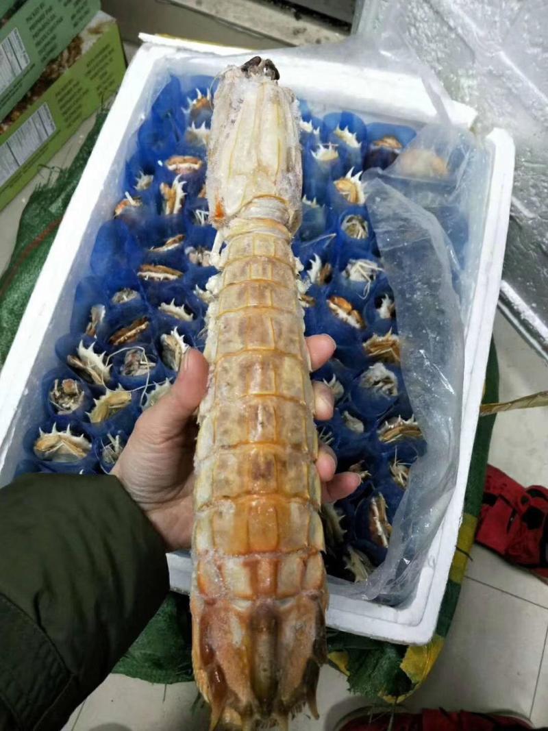 皮皮虾带膏富贵虾批发赖尿虾”、