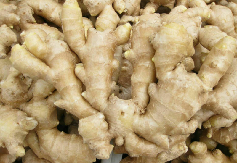 山东大姜平度大姜昌邑大莱州大姜产地直销，货源充足！
