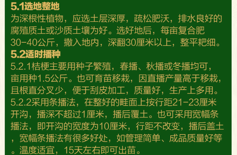 桔梗种子桔梗花籽铃铛花种子公园绿化花卉种子