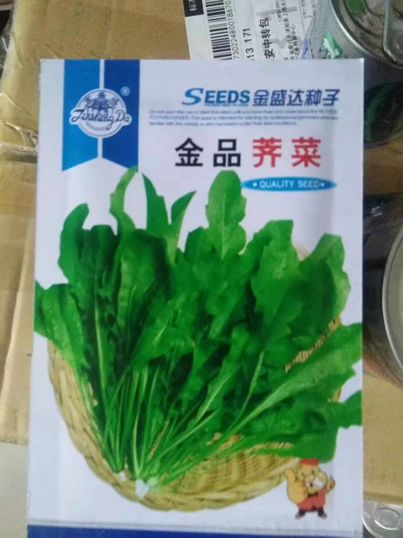 野生荠菜种子大叶野菜阳台四季播菜籽盆栽地菜蔬菜种籽荠菜种