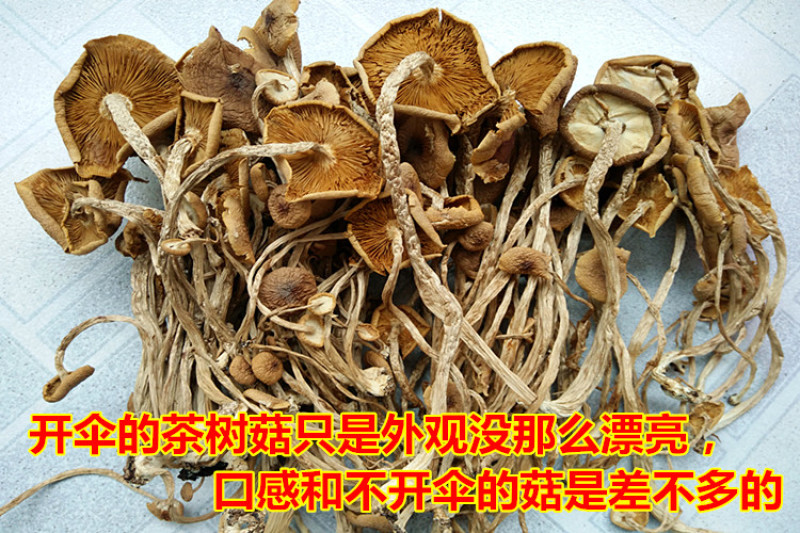 包邮特级半开伞3号茶树菇茶树菇干货产地直销