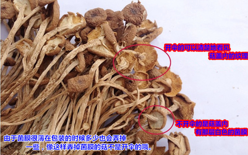 包邮特级半开伞3号茶树菇茶树菇干货产地直销