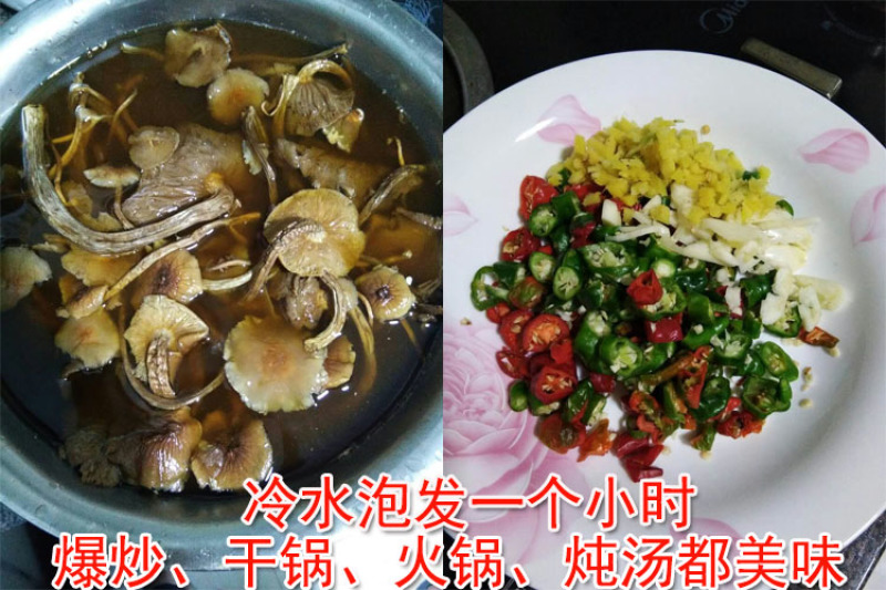 包邮特级半开伞3号茶树菇茶树菇干货产地直销