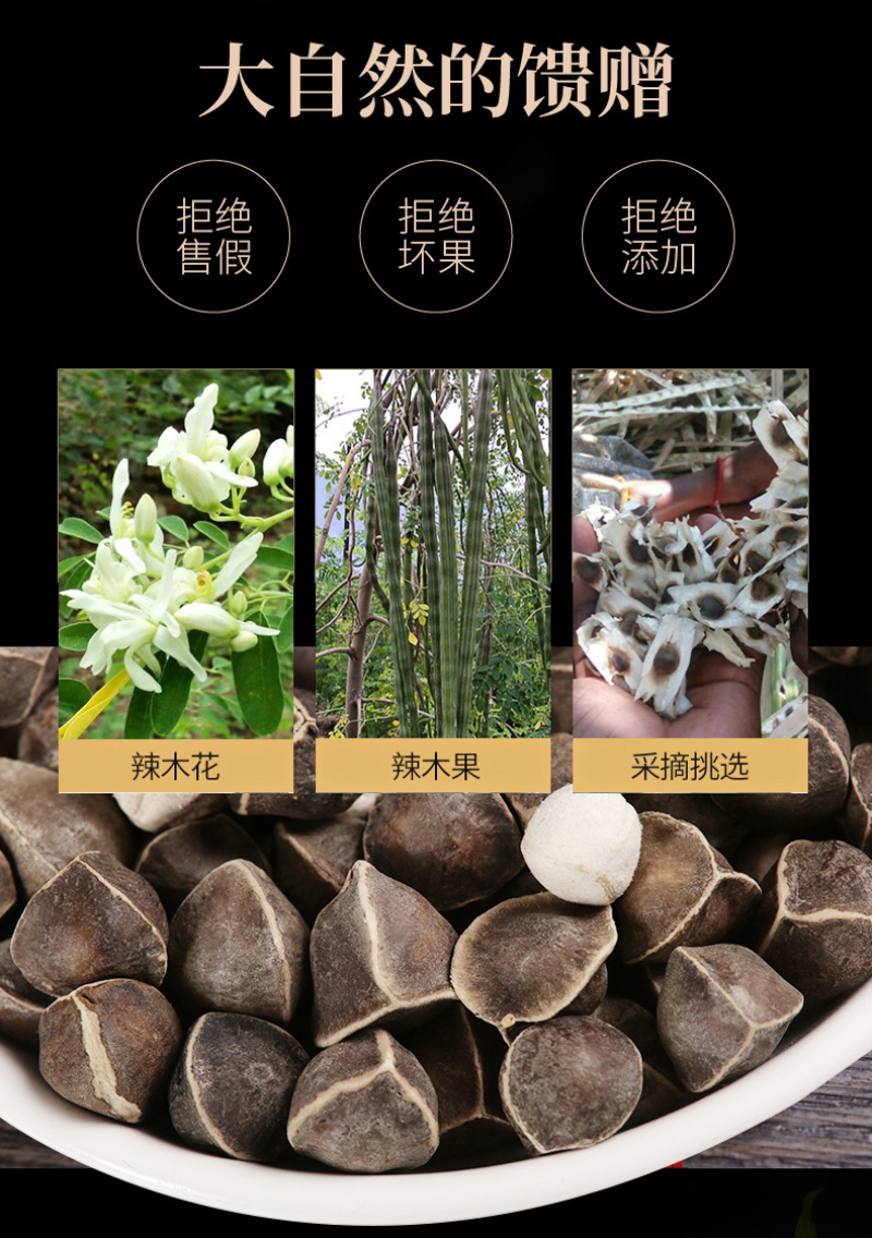 精选老树新果印度辣木籽