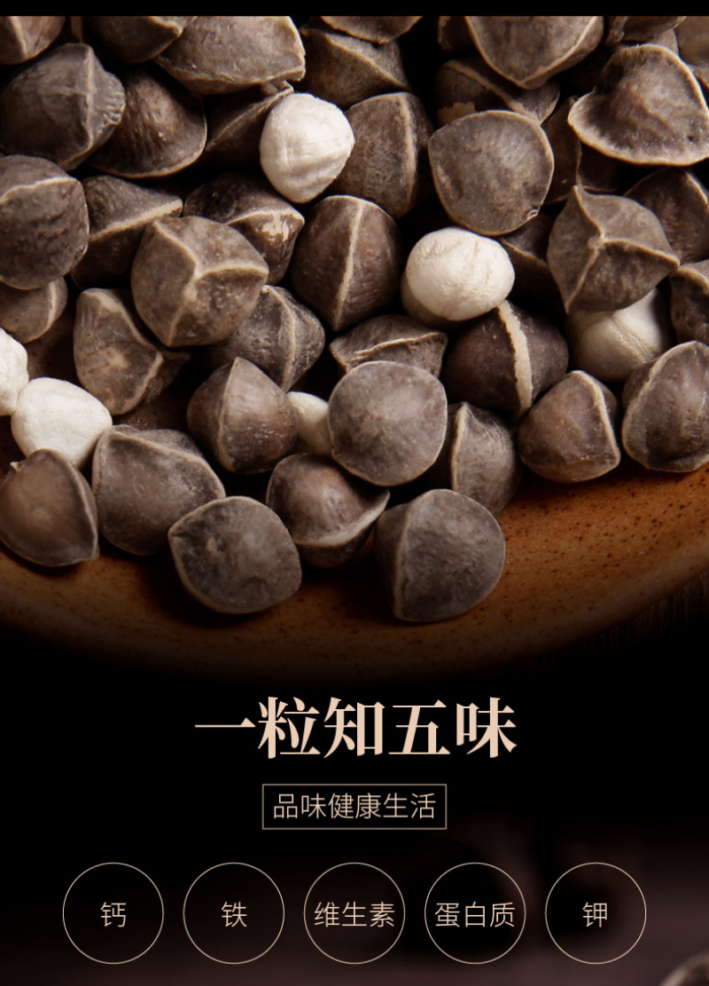精选老树新果印度辣木籽
