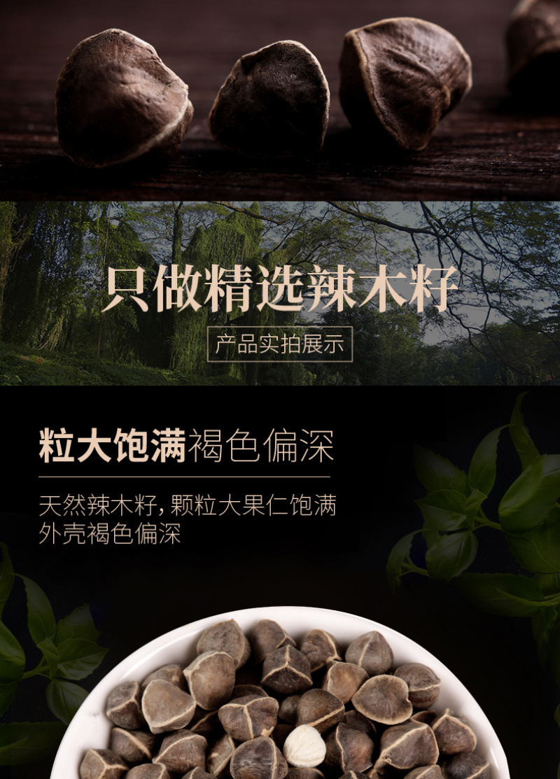 精选老树新果印度辣木籽