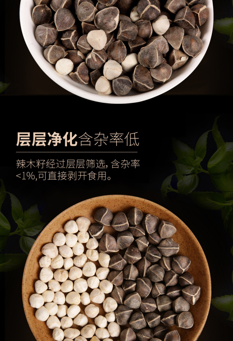 精选老树新果印度辣木籽
