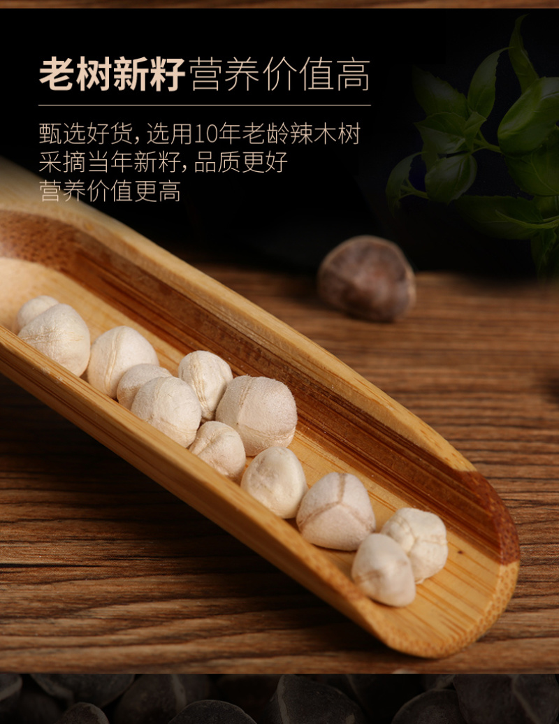 精选老树新果印度辣木籽