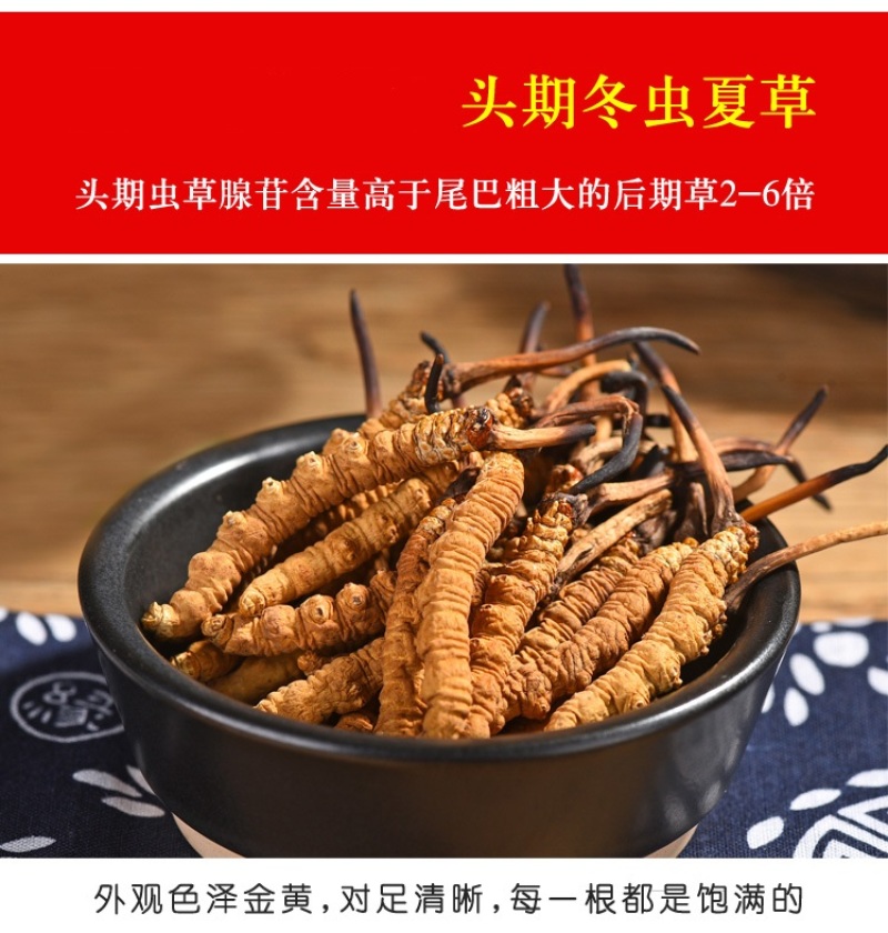 精选那曲青海玉树头期冬虫夏草非木垒草中药材