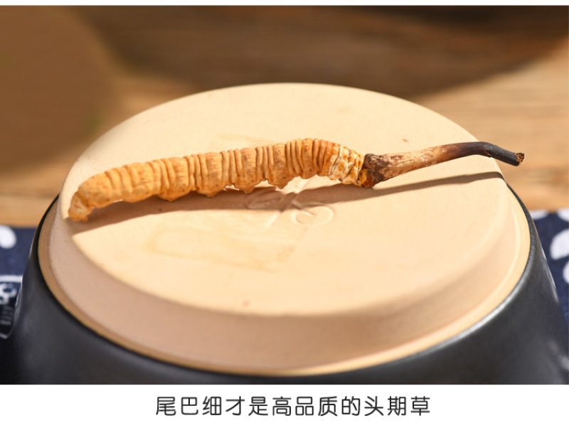精选那曲青海玉树头期冬虫夏草非木垒草中药材