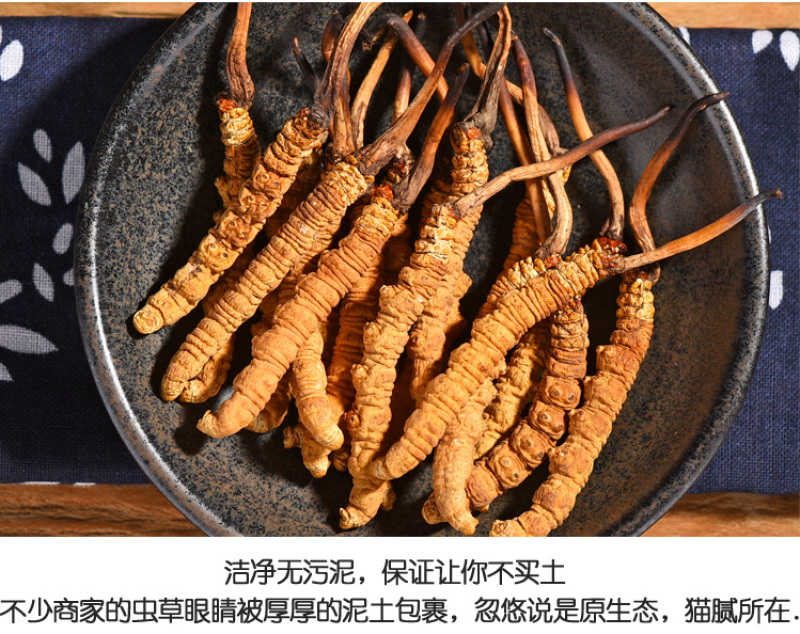 精选那曲青海玉树头期冬虫夏草非木垒草中药材