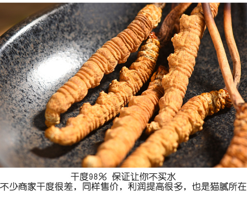 精选那曲青海玉树头期冬虫夏草非木垒草中药材