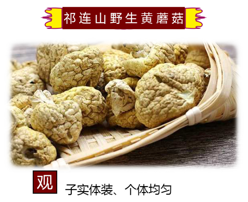 青海祁连野生黄菇正宗野生黄蘑菇