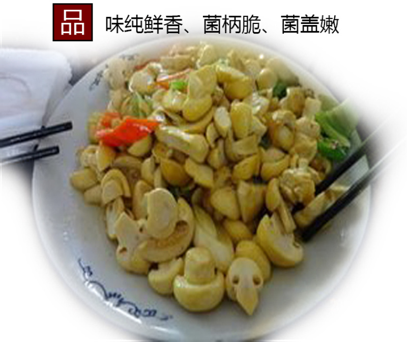 青海祁连野生黄菇正宗野生黄蘑菇