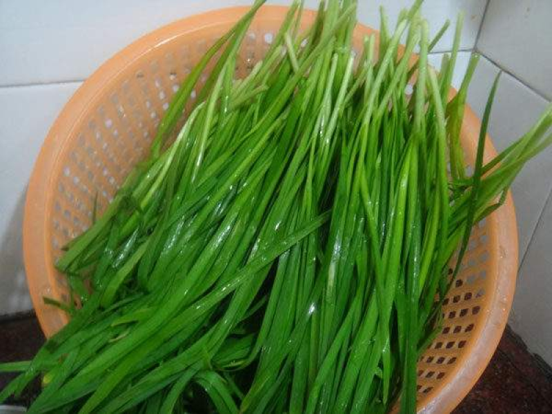 香韭菜种籽小细叶老品种香味浓郁生长四季盆栽耐寒金盛达蔬菜