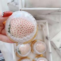 日本品种淡雪白草莓礼盒装单独包装孕妇应季水果