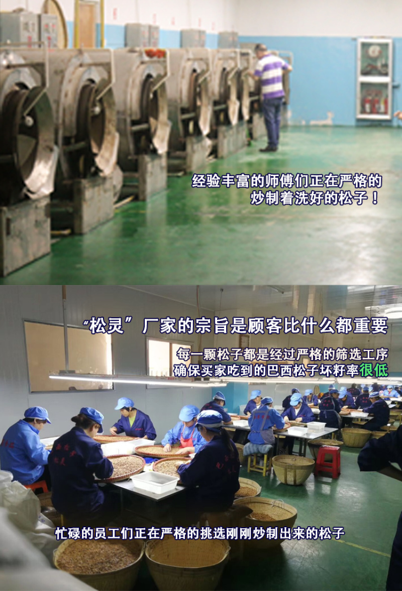 2019新货原味巴西松子500g独立小包袋装进口
