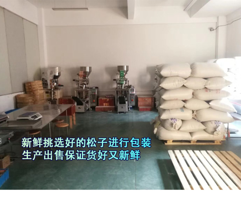 2019新货原味巴西松子500g独立小包袋装进口