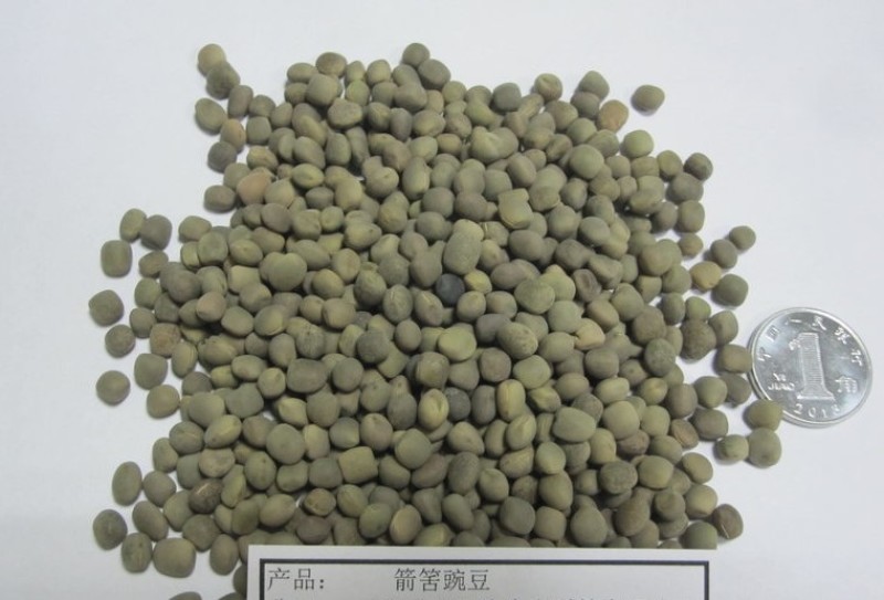 箭舌豌豆长势快，覆盖率强，可牧用，可做绿肥种子