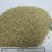 猫尾草又称提摩西草，草质细嫩，兔子赛马豚鼠爱吃的草种