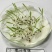 宽叶雀稗南方牧草绿肥，和水土保持先锋作物种子