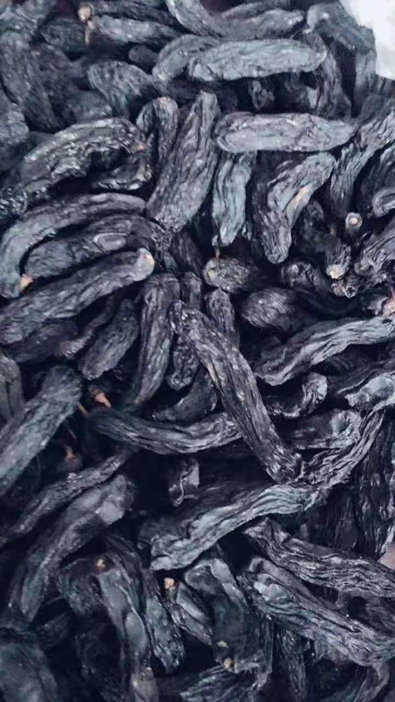 甜蜜蓝宝石葡萄苗盆栽地栽当年结果可签合同包技术指导