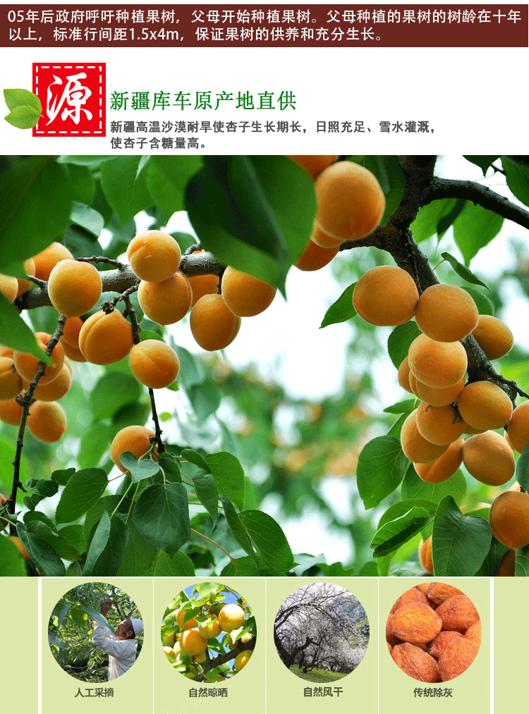 新疆库车小白杏干500g轮台特产杏干无添加天然树上包邮
