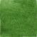 紫羊茅草籽草坪种子孑护坡绿化专用耐寒耐践踏庭院林下观赏草