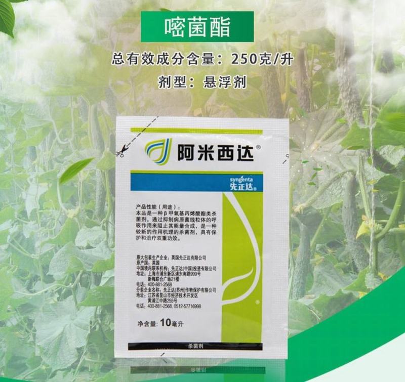 先正达阿米西达嘧菌酯黄瓜黑星病炭疽病番茄杀菌剂进口药