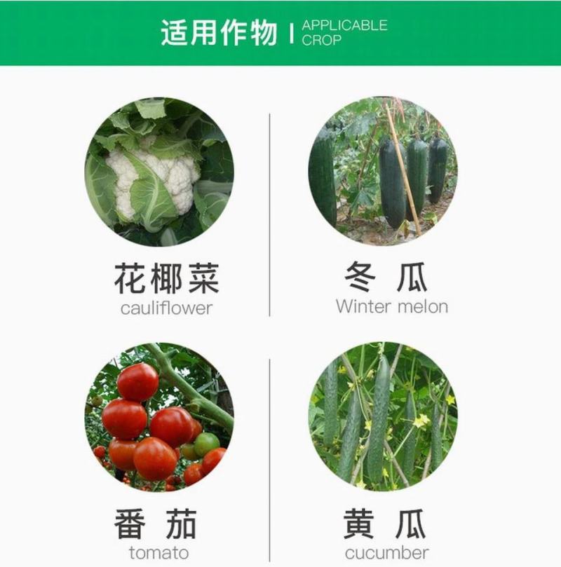 先正达阿米西达嘧菌酯黄瓜黑星病炭疽病番茄杀菌剂进口药