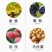 先正达阿米西达嘧菌酯黄瓜黑星病炭疽病番茄杀菌剂进口药