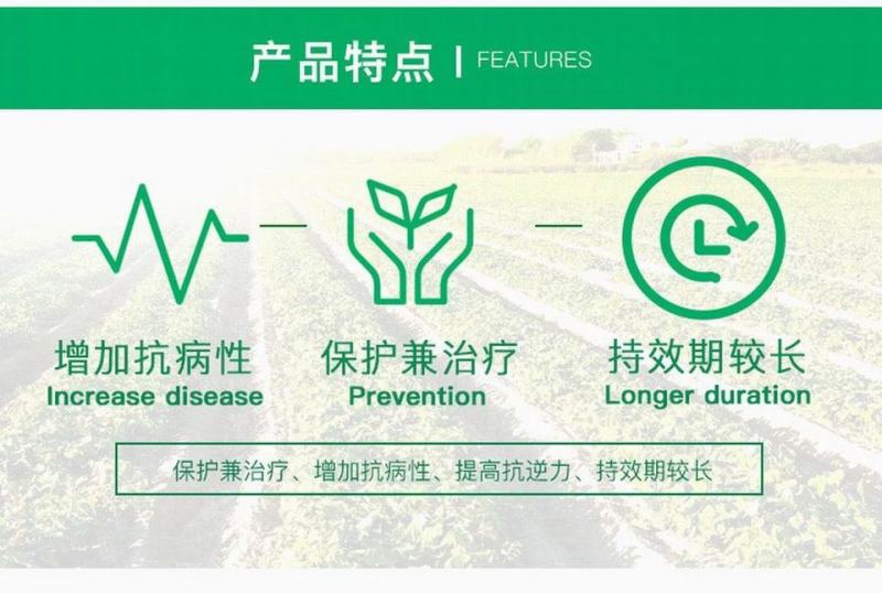 先正达阿米西达嘧菌酯黄瓜黑星病炭疽病番茄杀菌剂进口药
