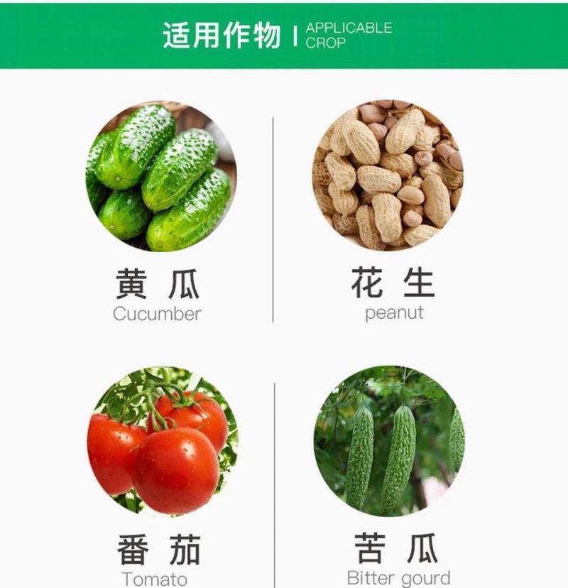 先正达好迪施75%百菌清黄瓜早疫叶斑病霜霉杀菌剂进口药