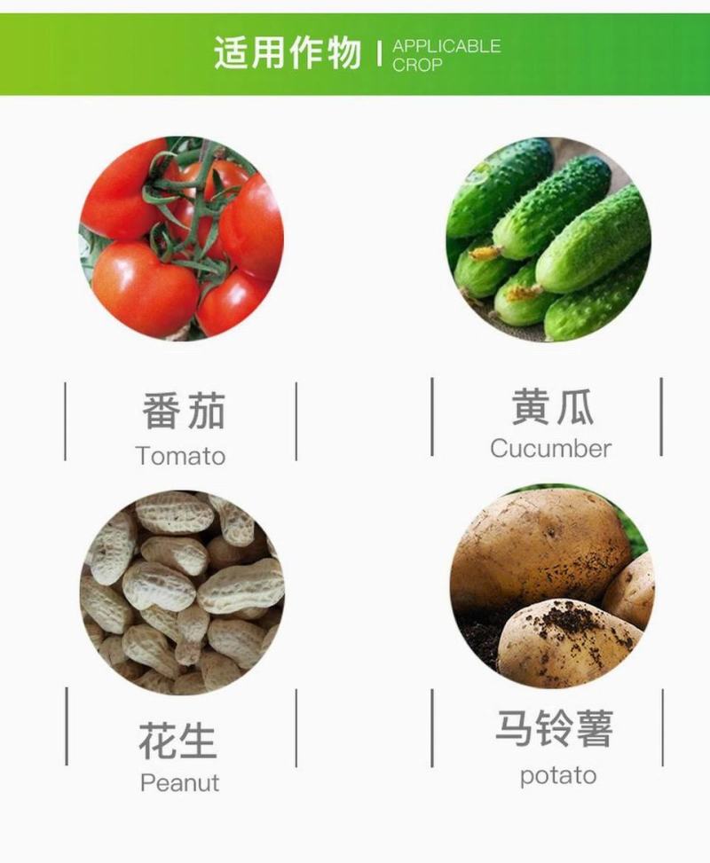 日本达科宁40%百菌清黄瓜霜霉早晚疫叶霉杀菌剂进口药