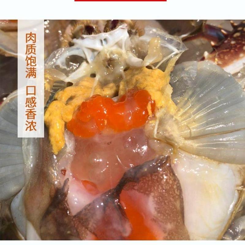 【一件代发】包邮海捕新鲜鲜活梭子蟹螃蟹母蟹