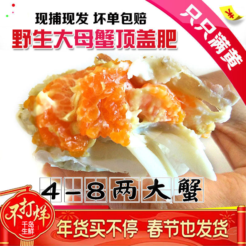 【一件代发】包邮海捕新鲜鲜活梭子蟹螃蟹母蟹