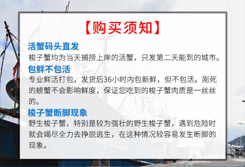 【一件代发】包邮海捕新鲜鲜活梭子蟹螃蟹母蟹