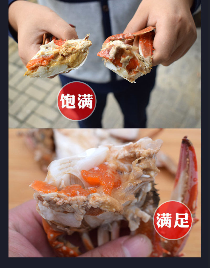 【一件代发】包邮海捕新鲜鲜活梭子蟹螃蟹母蟹