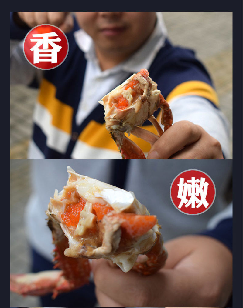 【一件代发】包邮海捕新鲜鲜活梭子蟹螃蟹母蟹